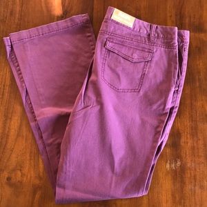 Bootcut Coupe Semi-Évasée Trouser NWT